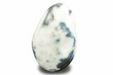 Free-Standing, Polished Orca Agate - Madagascar #246077-1